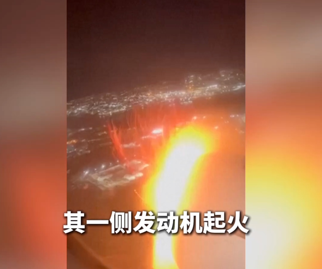 韩国客机遭鸟撞击画面曝光！全球每年发生鸟撞飞机事件达两万多起→