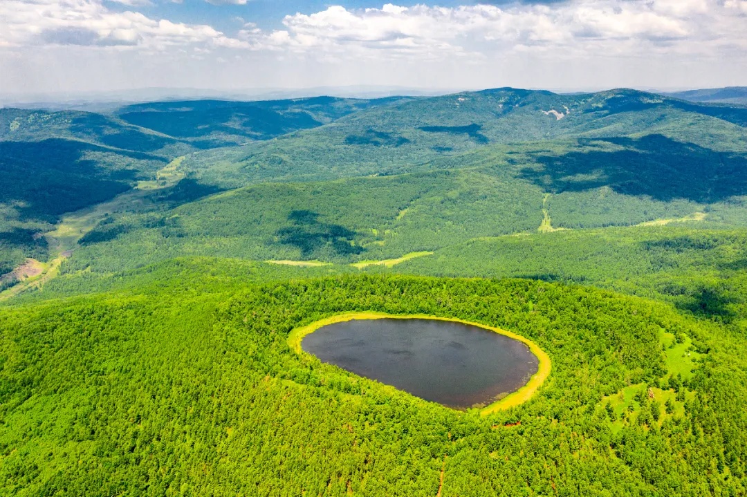 多地官宣:免票! 多地官宣:免票!