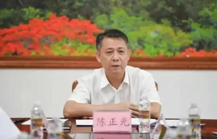 通过“校园餐”等谋利，陈正光被开除党籍