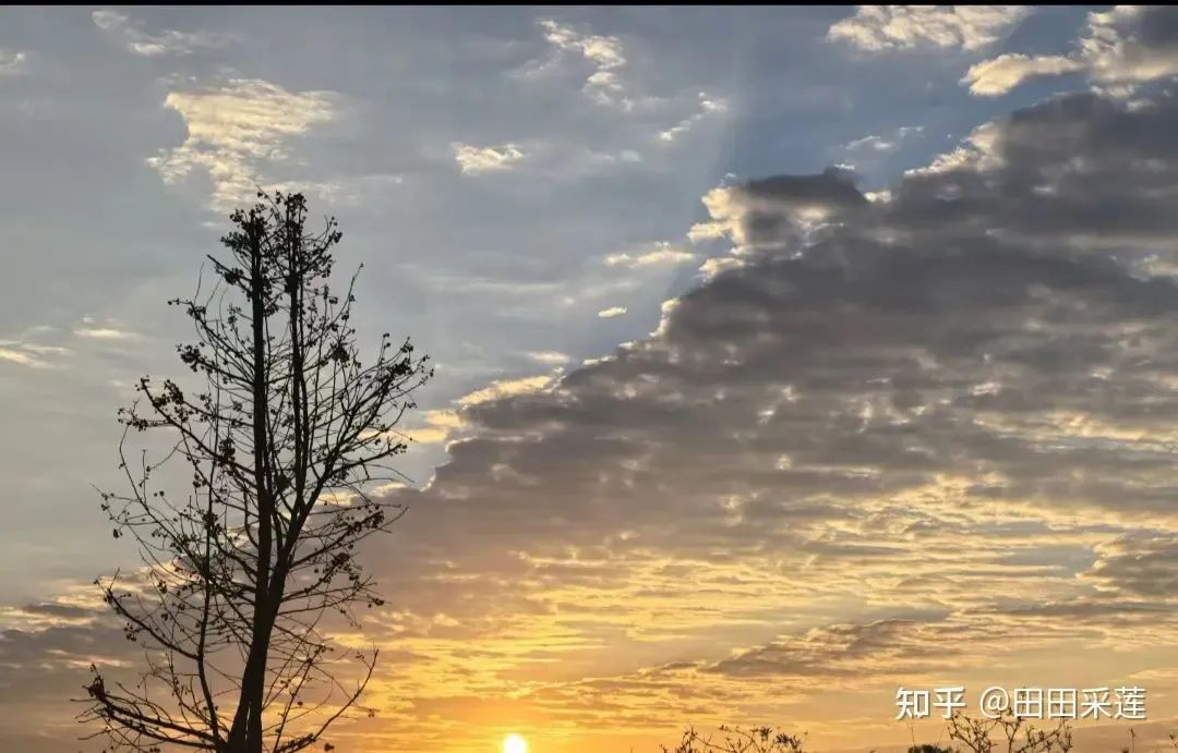 2024 年你经历了哪些离别？又有哪些未曾说出口的再见？