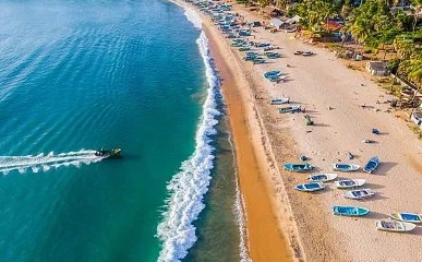 埃及突发！红海旅游胜地鲨鱼袭击游客，致1死1伤