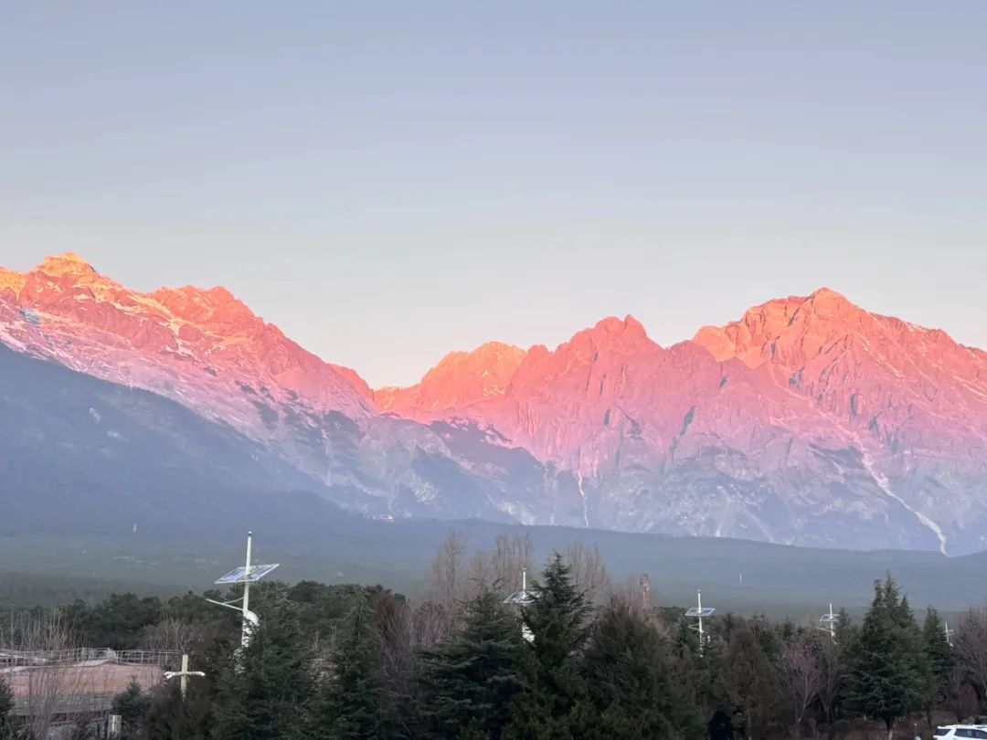 2024 年你经历了哪些离别？又有哪些未曾说出口的再见？