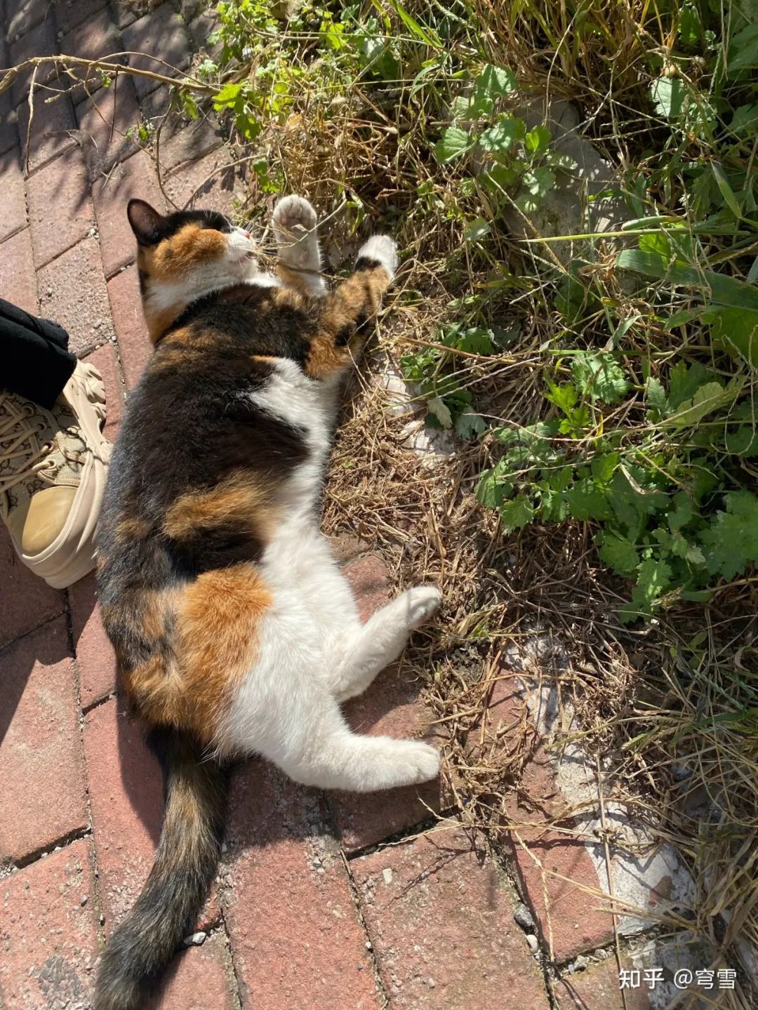 2024 年你经历了哪些离别？又有哪些未曾说出口的再见？