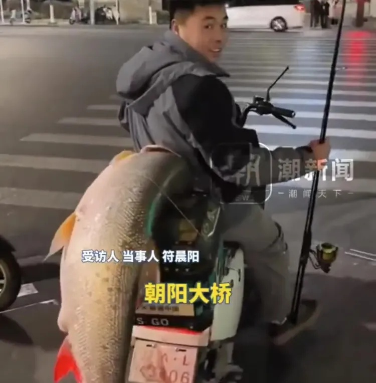 男子钓到56斤重的鳡鱼，绕城5小时炫耀，网友直呼“钓鱼佬的高光时刻”