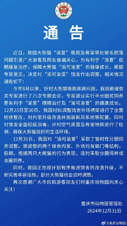 动物园通报大熊猫渝爱健康问题