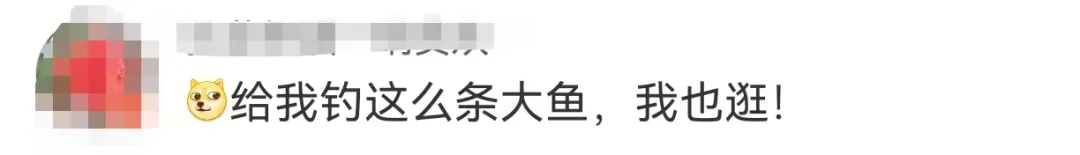 男子钓到56斤重的鳡鱼,绕城5小时炫耀!网友评论亮了 男子钓到56斤重的鳡鱼,绕城5小时炫耀!网友评论亮了