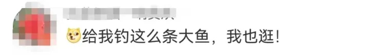 男子钓到56斤重的鳡鱼，绕城5小时炫耀，网友直呼“钓鱼佬的高光时刻”