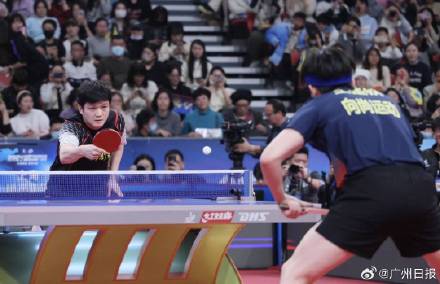 期待！樊振东王楚钦跨年夜强强对决