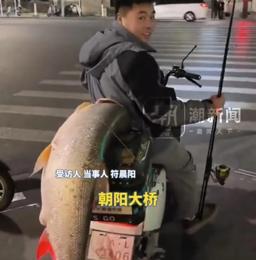 男子钓到56斤重的鳡鱼,绕城5小时炫耀!网友评论亮了 男子钓到56斤重的鳡鱼,绕城5小时炫耀!网友评论亮了