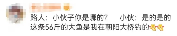 男子钓到56斤重的鳡鱼，绕城5小时炫耀，网友直呼“钓鱼佬的高光时刻”