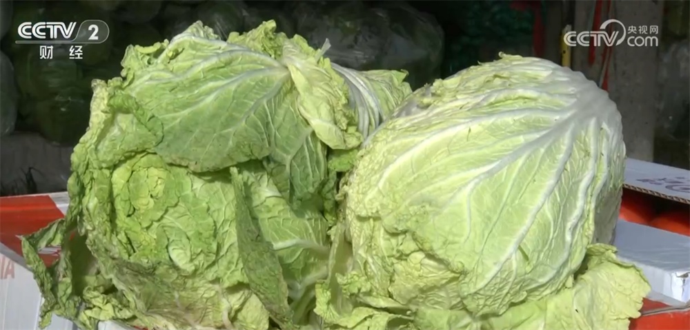 居民“菜篮子”货足价稳 能够有效保障元旦、春节等重要节点供应 居民“菜篮子”货足价稳 能够有效保障元旦、春节等重要节点供应