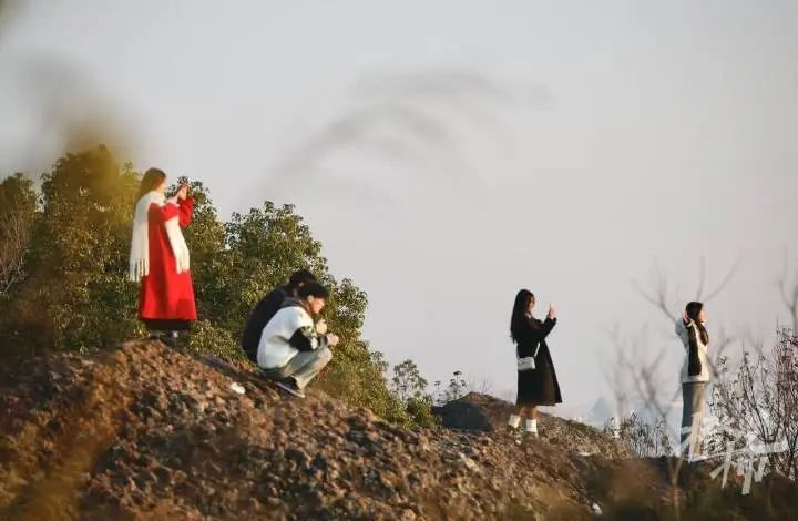 日出东方!2025年杭州第一个绝美日出,你看到了吗? 日出东方!2025年杭州第一个绝美日出,你看到了吗?