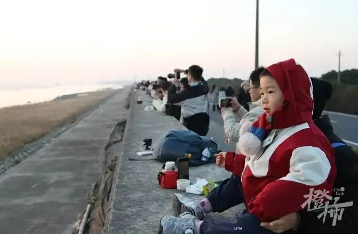 日出东方!2025年杭州第一个绝美日出,你看到了吗? 日出东方!2025年杭州第一个绝美日出,你看到了吗?