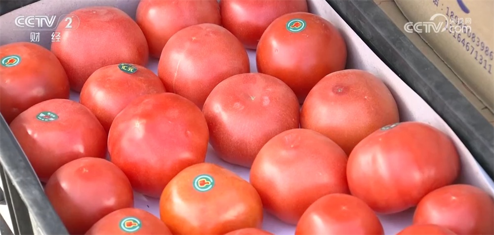 居民“菜篮子”货足价稳 能够有效保障元旦、春节等重要节点供应 居民“菜篮子”货足价稳 能够有效保障元旦、春节等重要节点供应