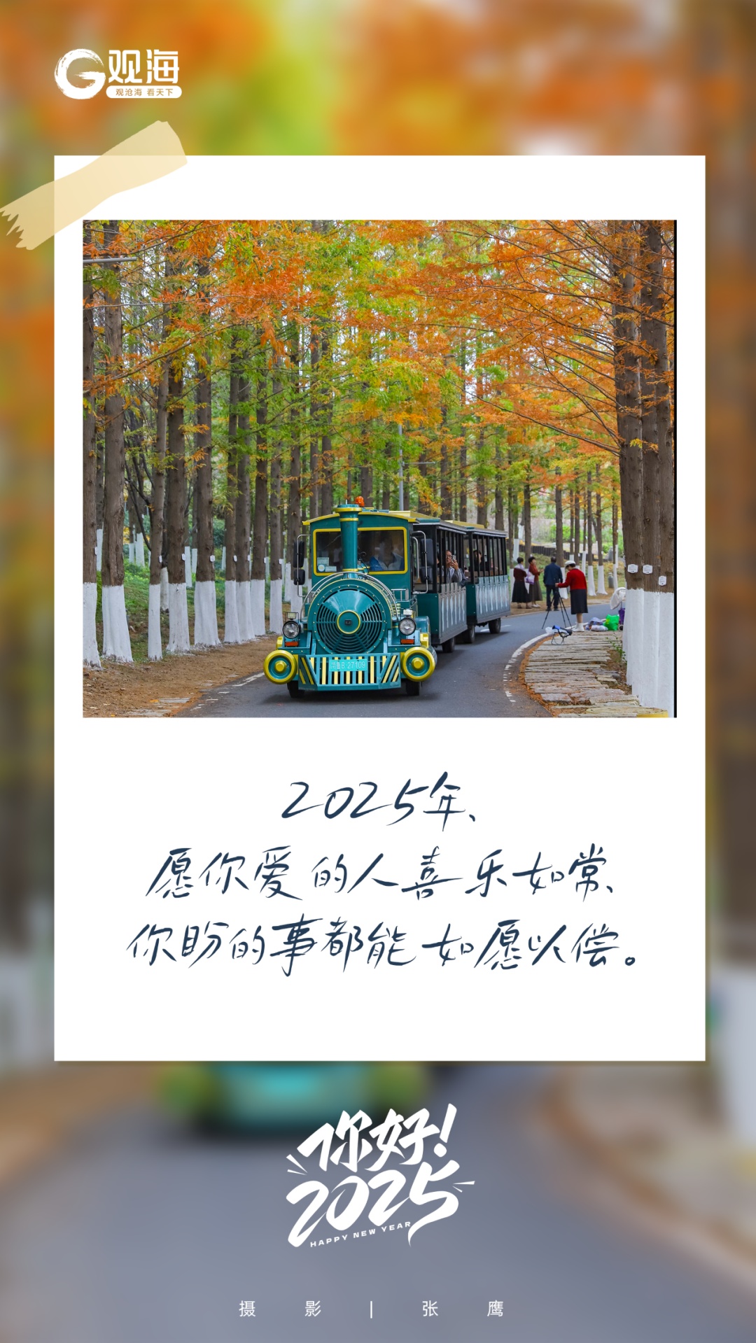 2025年第一天，青岛，你好呀！