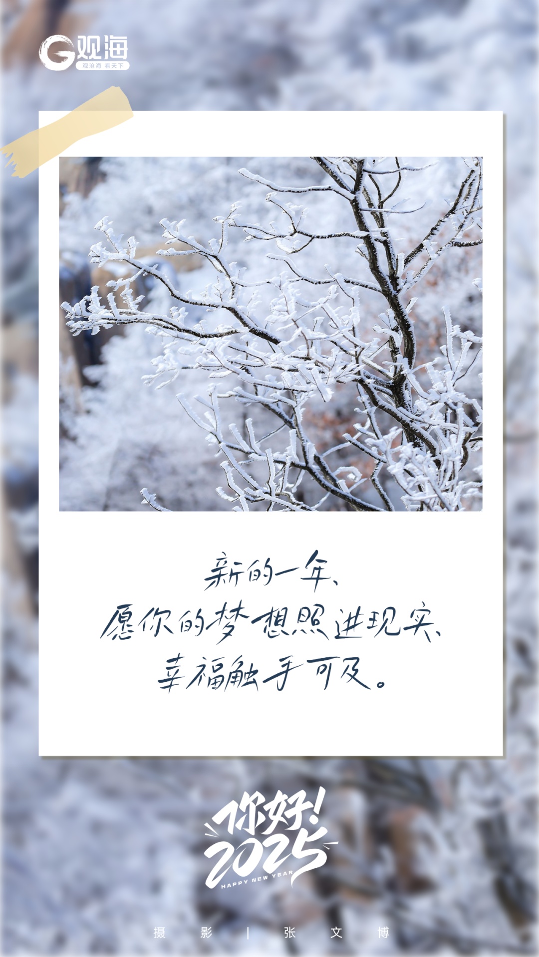 2025年第一天，青岛，你好呀！