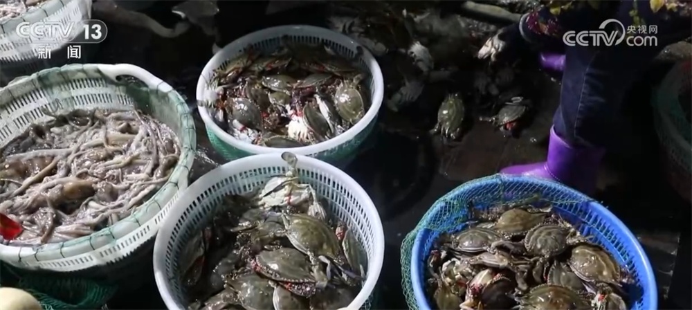 新年尝“鲜” 2025年第一波海鲜上市丰富消费市场