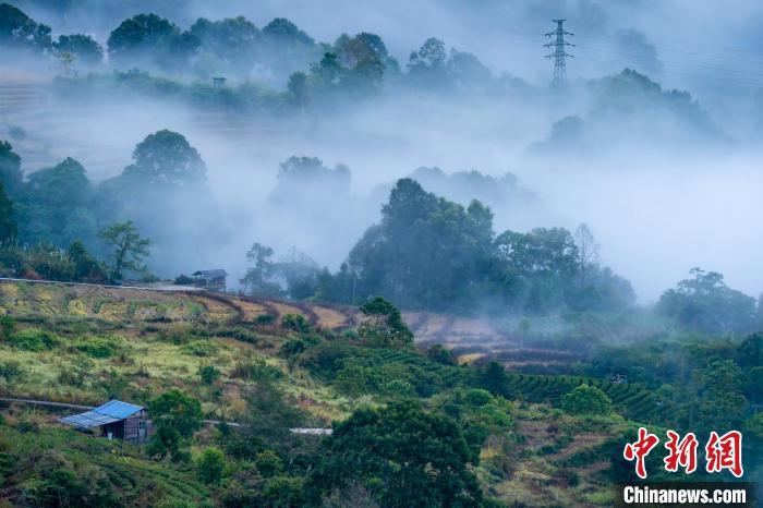 西藏墨脱举办首届自然观察活动 记录到超1000种物种 西藏墨脱举办首届自然观察活动 记录到超1000种物种