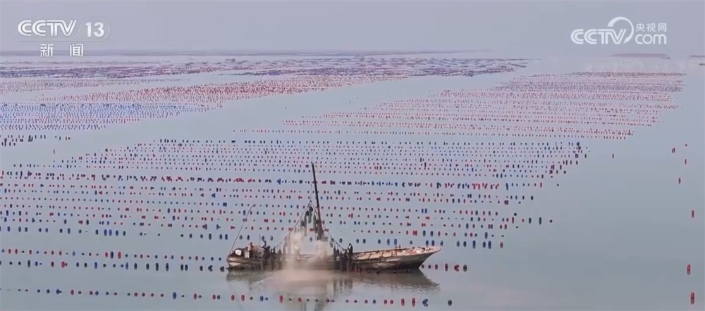 新年尝“鲜” 2025年第一波海鲜上市丰富消费市场