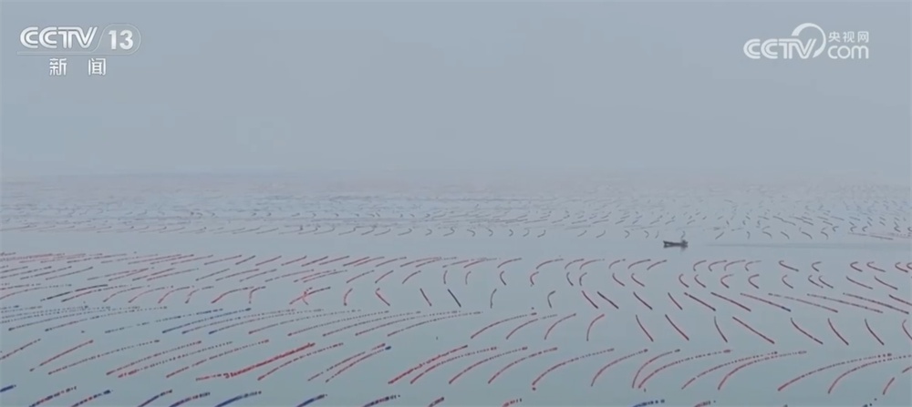 新年尝“鲜” 2025年第一波海鲜上市丰富消费市场