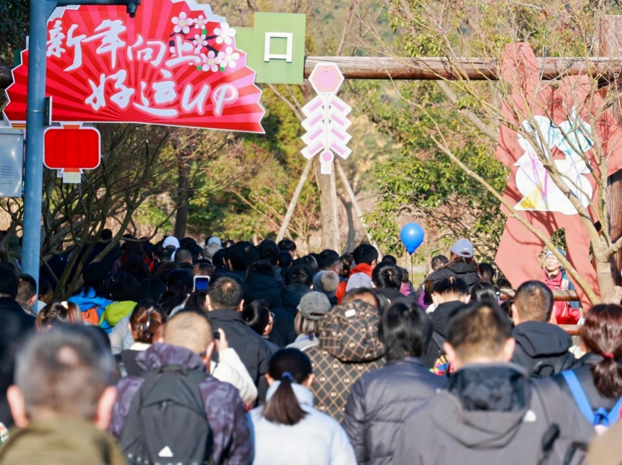 海盐南北湖:登高祈福迎新年 海盐南北湖:登高祈福迎新年