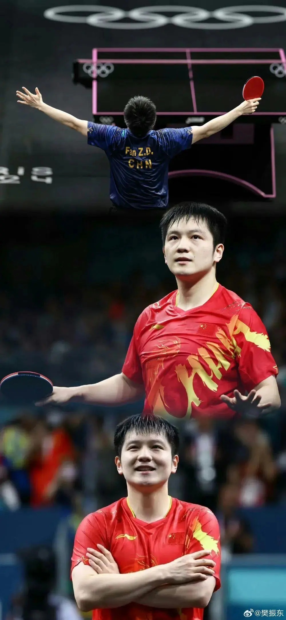 樊振东,有新职! 樊振东,有新职!