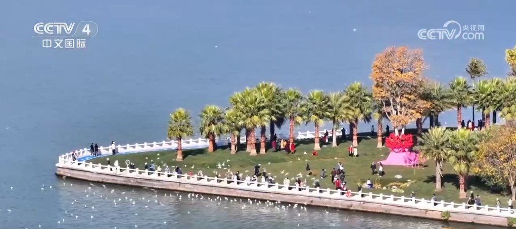 中国各地商圈推出特色迎新活动 “花式跨年”成消费新潮流