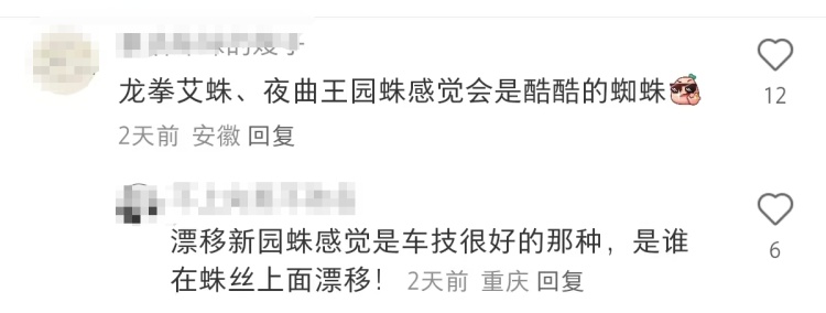 西双版纳新种蜘蛛以周杰伦歌曲命名！网友评论：当你的歌迷成了科学家