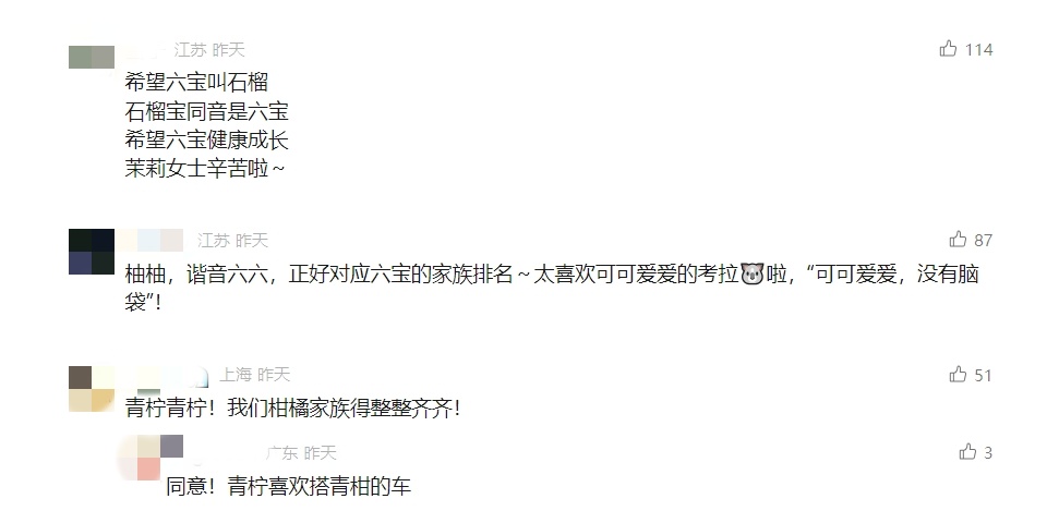 红山动物园：“六公主”要取名字了