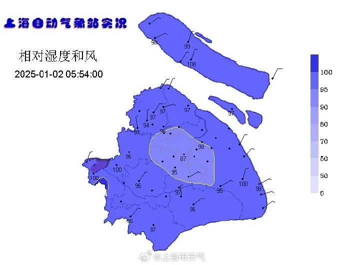 上海两区发布大雾黄色预警！直冲14℃，新年首个工作日为近期最暖