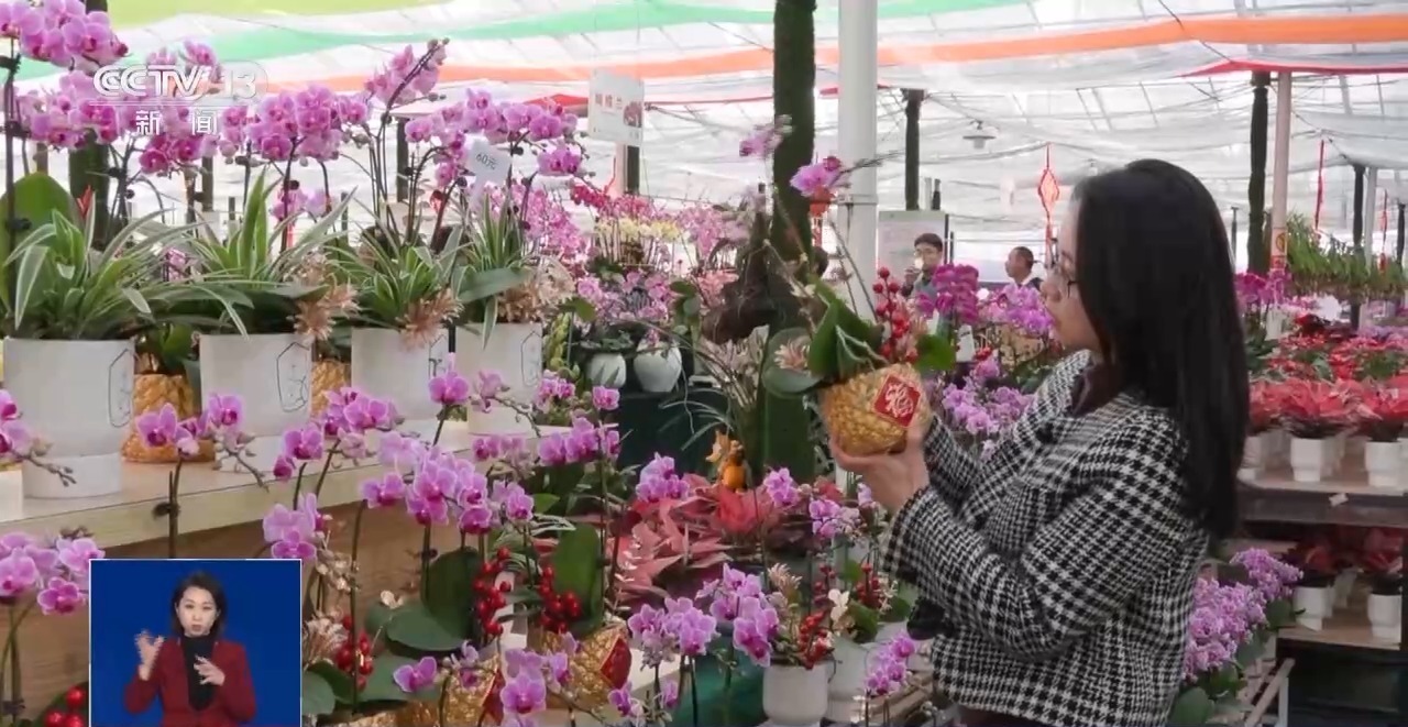 年夜饭外卖 飘香枣糕 外焦里嫩干煸鱼 多地开启“春节档” 年夜饭外卖 飘香枣糕 外焦里嫩干煸鱼 多地开启“春节档”