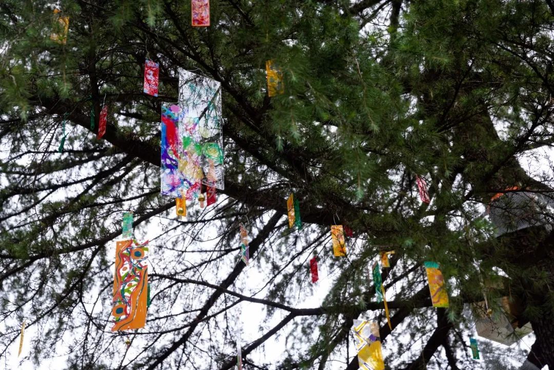 学校给松鼠搭了一座“桥”?这个新年礼物,绝了! 学校给松鼠搭了一座“桥”?这个新年礼物,绝了!