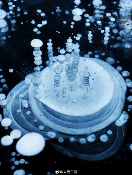 可爱！湖面冻出可爱冰泡泡