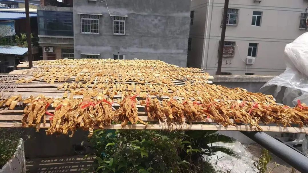 福州这个村,竟藏有商代遗址! 福州这个村,竟藏有商代遗址!