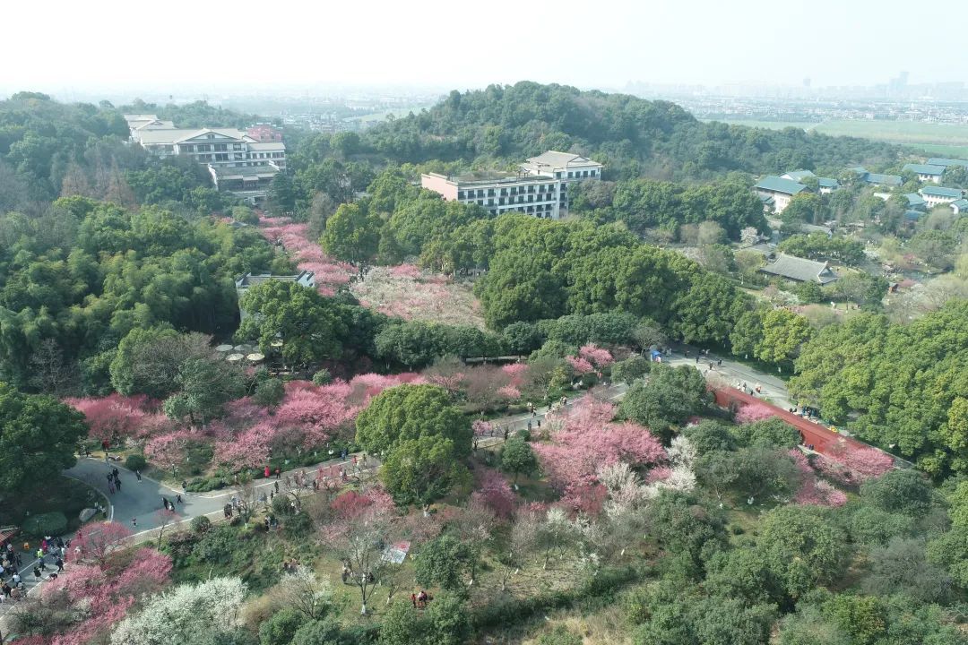 今年开放！杭州新增一座超大型植物园！