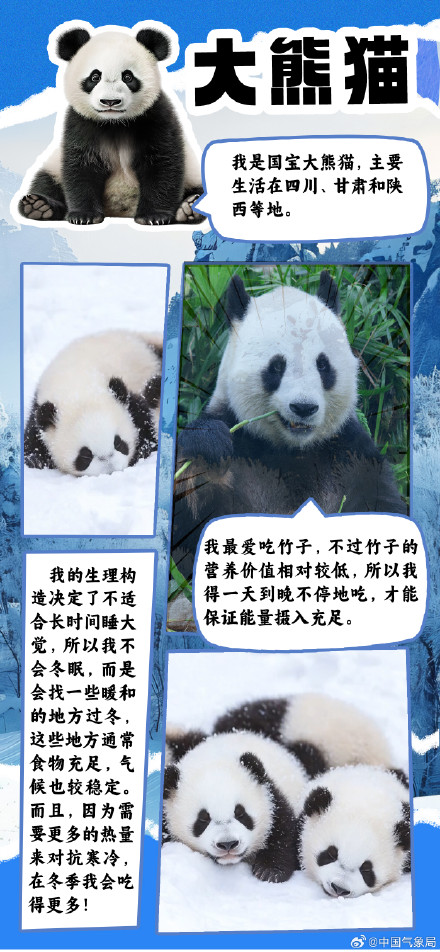 冷空气又又又来了 但它们究竟如何扛过寒冷冬季？