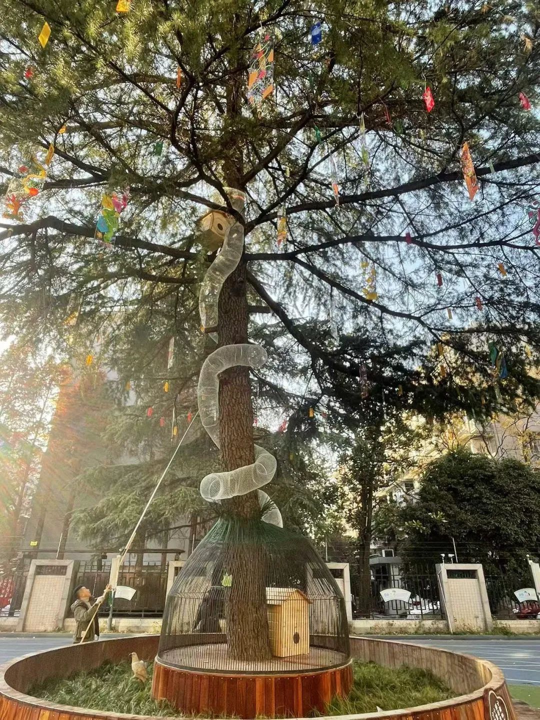 学校给松鼠搭了一座“桥”?这个新年礼物,绝了! 学校给松鼠搭了一座“桥”?这个新年礼物,绝了!