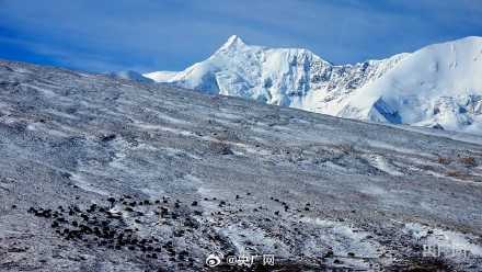 冬日阿尼玛卿雪山有多壮美 冬日阿尼玛卿雪山有多壮美