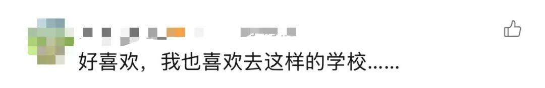 学校给松鼠搭了一座“桥”?这个新年礼物,绝了! 学校给松鼠搭了一座“桥”?这个新年礼物,绝了!