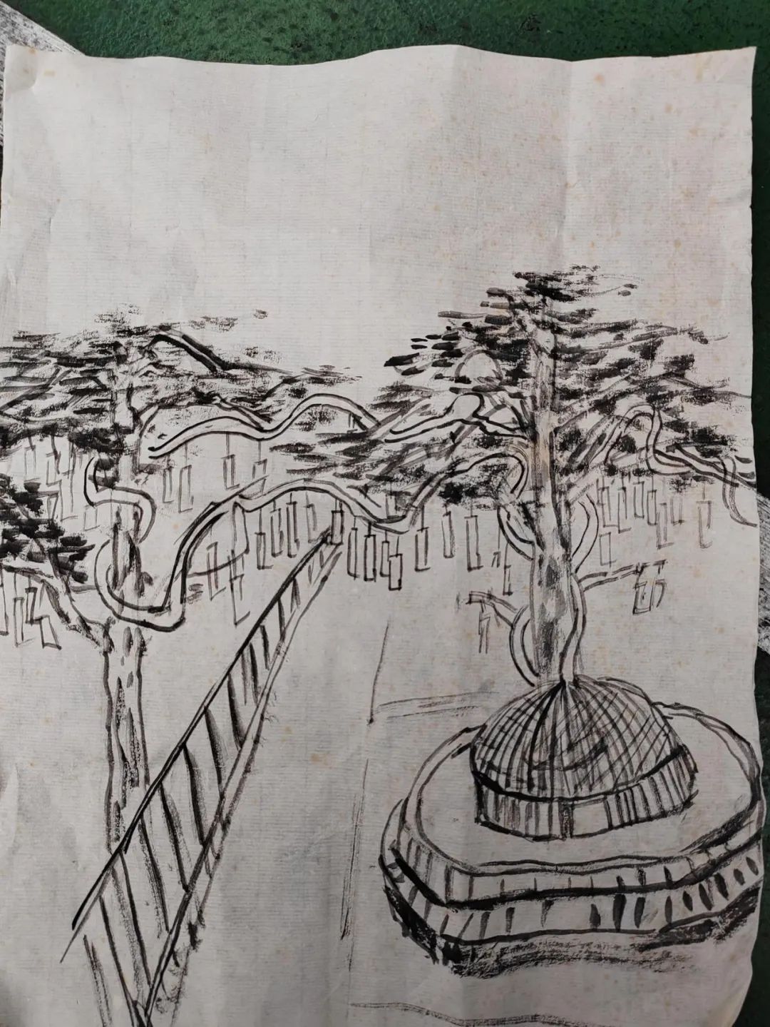 学校给松鼠搭了一座“桥”?这个新年礼物,绝了! 学校给松鼠搭了一座“桥”?这个新年礼物,绝了!