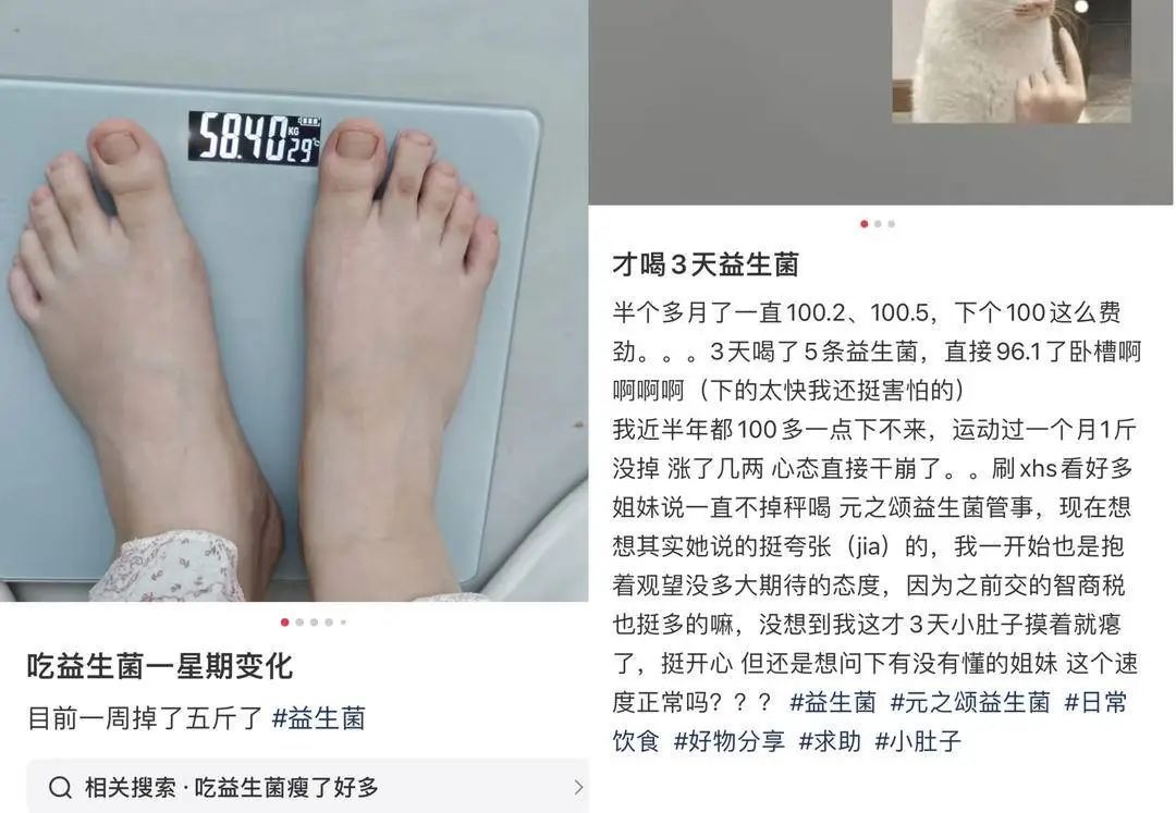过年前突击减肥，“益生菌”法靠谱吗？