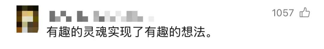 学校给松鼠搭了一座“桥”?这个新年礼物,绝了! 学校给松鼠搭了一座“桥”?这个新年礼物,绝了!