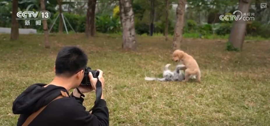“新”中有“机”！创新服务承接新流量 撬动消费升级