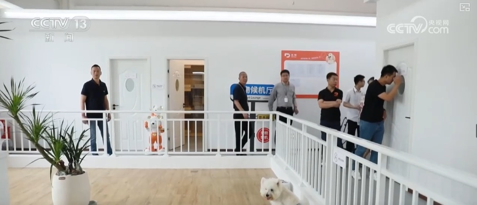 “新”中有“机”！创新服务承接新流量 撬动消费升级