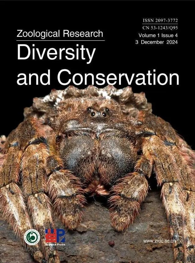 16个新种蜘蛛以周杰伦歌曲命名，网友：最强歌迷