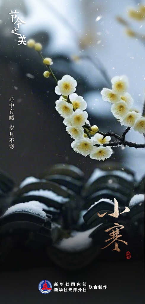 节令之美丨5日小寒：小寒料峭，一番春意换年芳