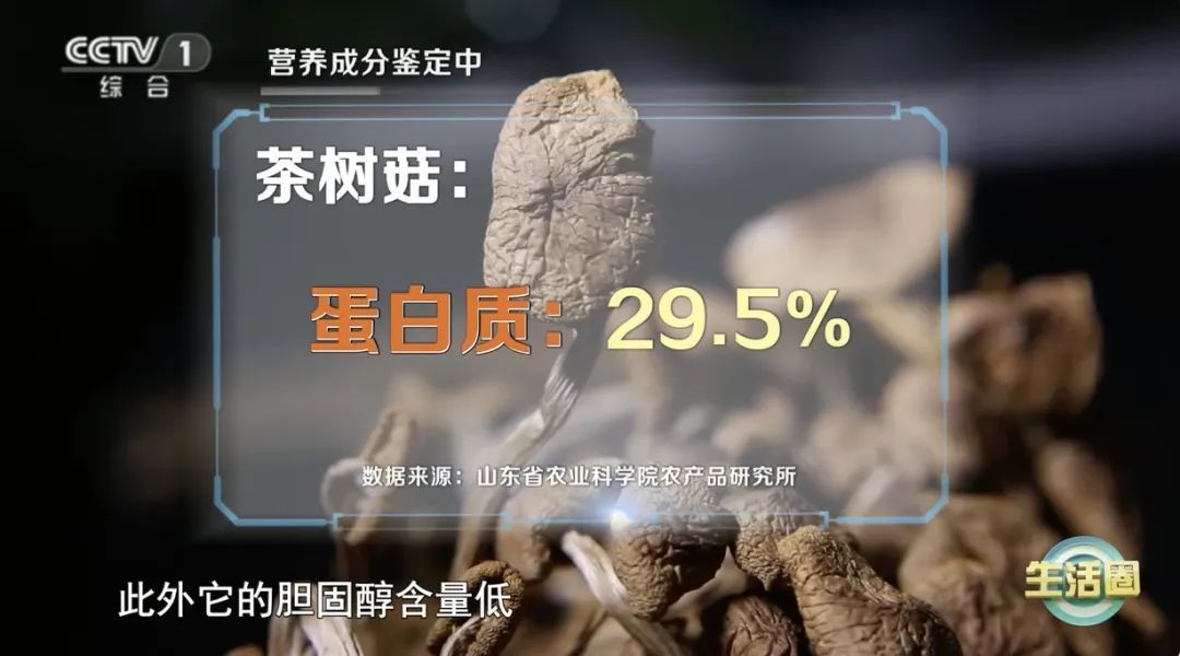 每天吃18克它,有助于延缓大脑衰老、防癌~可惜你却错过了 每天吃18克它,有助于延缓大脑衰老、防癌~可惜你却错过了