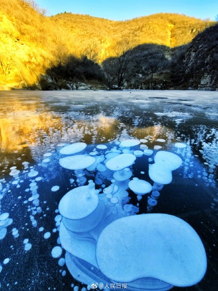 可爱！湖面冻出可爱冰泡泡