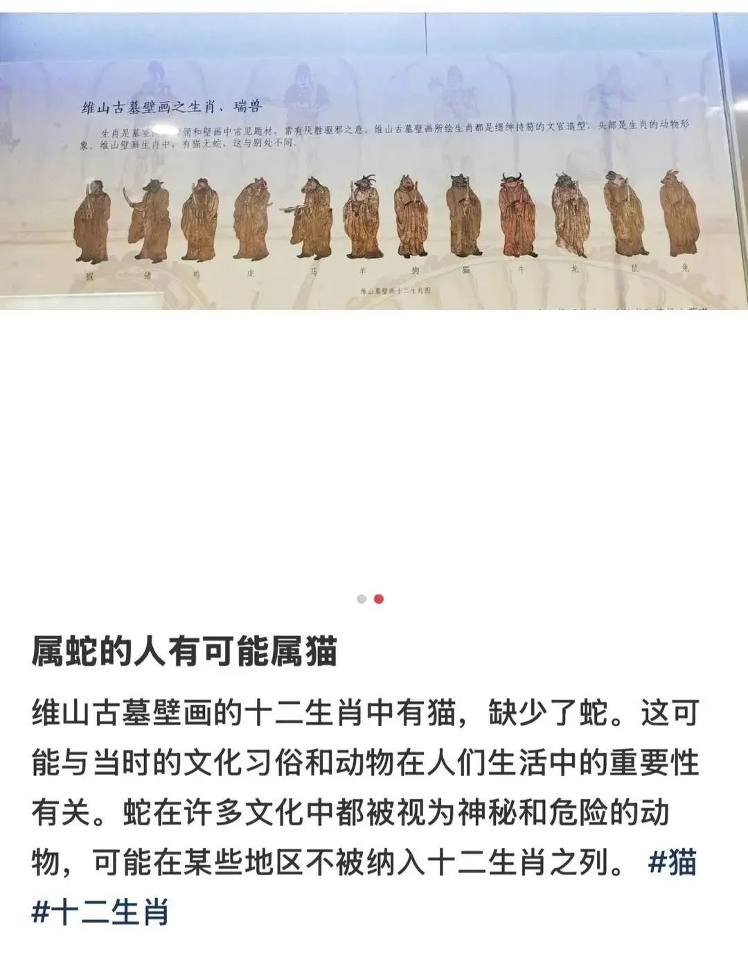 古代壁画“十二生肖图”有猫无蛇？专家回应