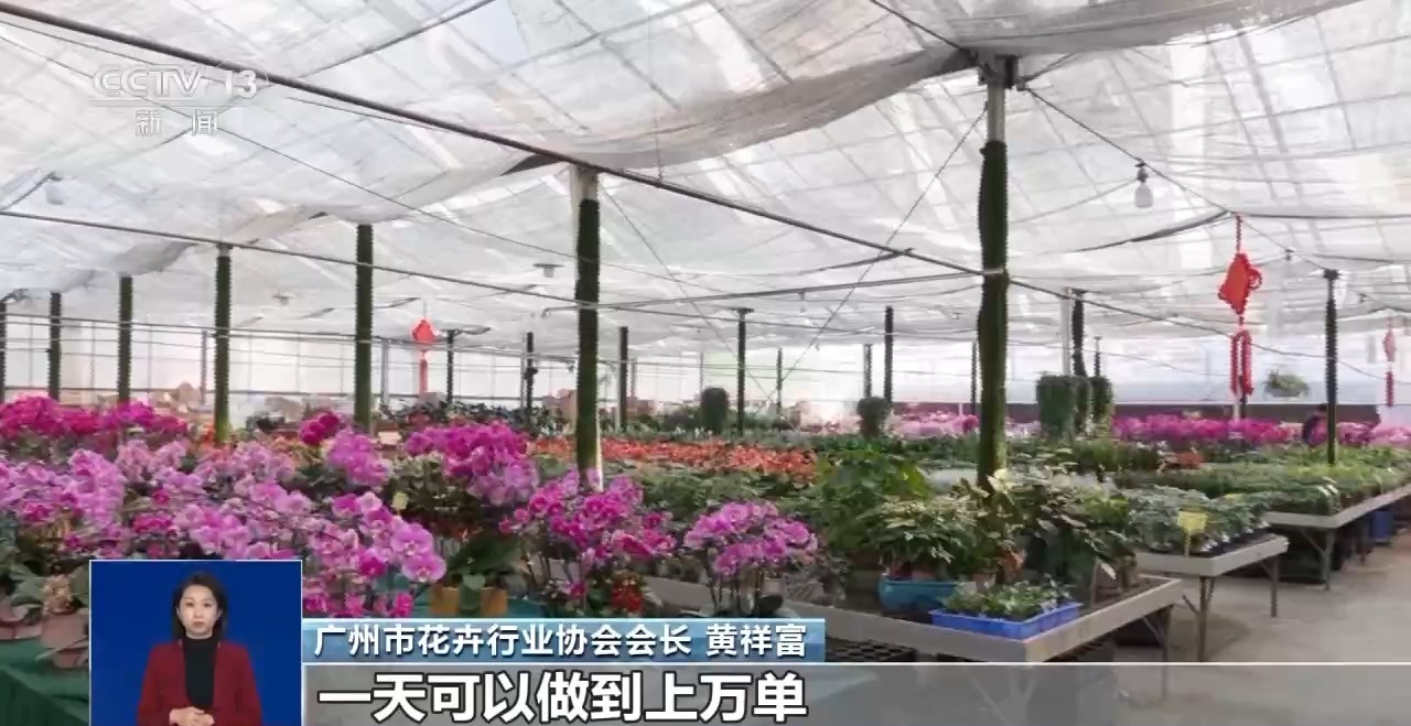 年夜饭外卖 飘香枣糕 外焦里嫩干煸鱼 多地开启“春节档” 年夜饭外卖 飘香枣糕 外焦里嫩干煸鱼 多地开启“春节档”